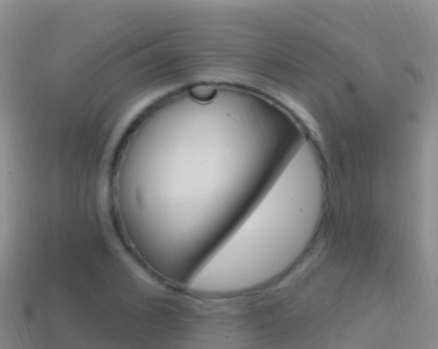 X0000114630976200910201018