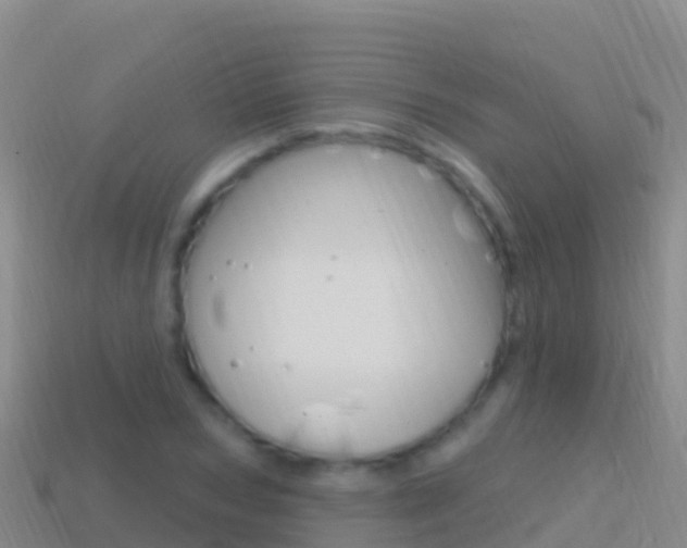 X0000114630978200910201018