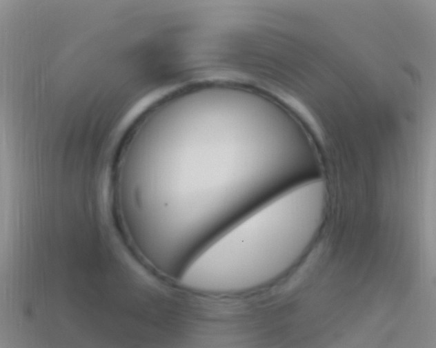 X0000114630983200910201018