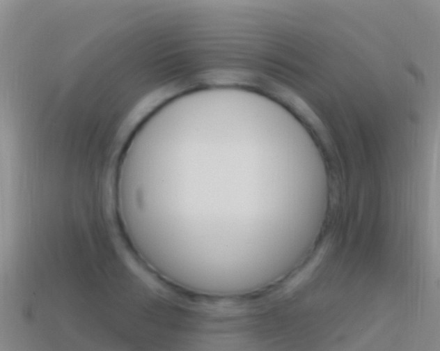 X0000114630986200910201018