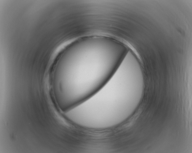 X0000114630987200910201018