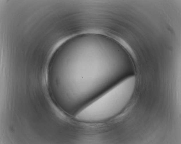 X0000114630988200910201018