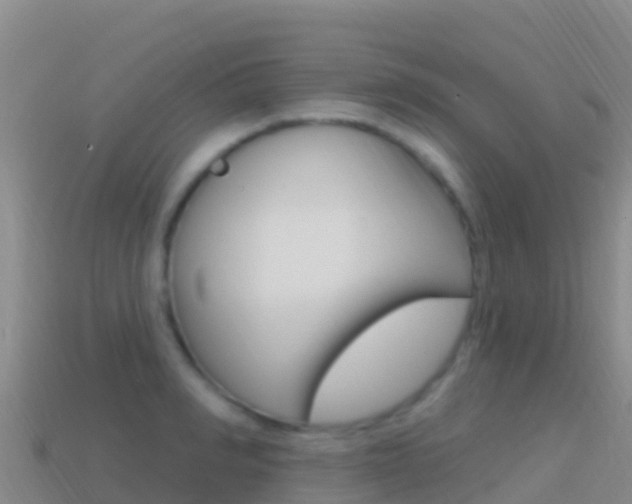 X0000114630990200910201018