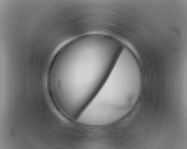 X0000114630991200910201018