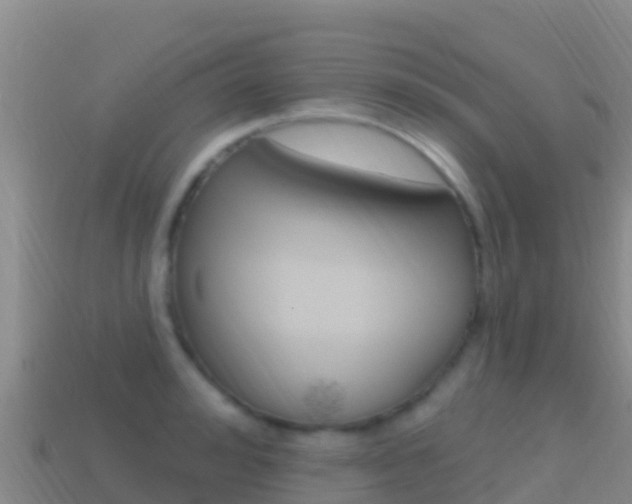 X0000114630992200910201018