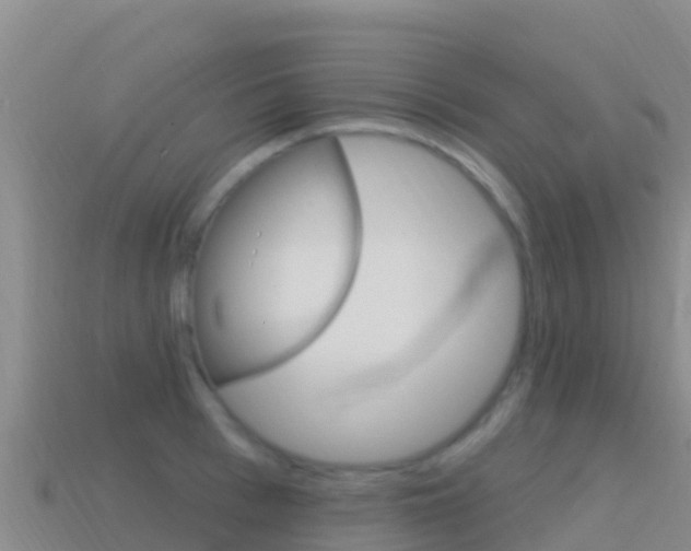 X0000114630993200910201018