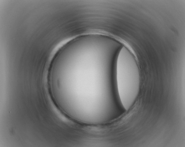 X0000114630995200910201018