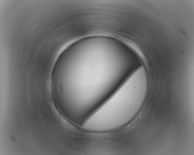 X0000114630996200910201018