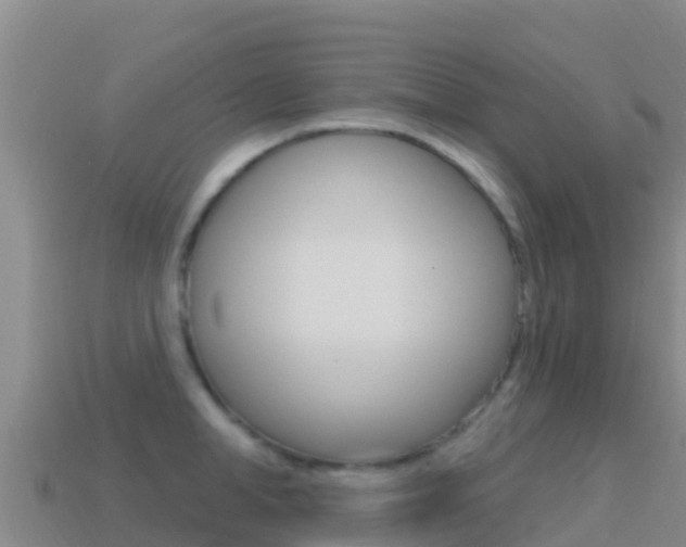 X0000114630998200910201018