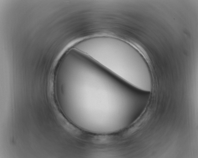 X0000114631000200910201018