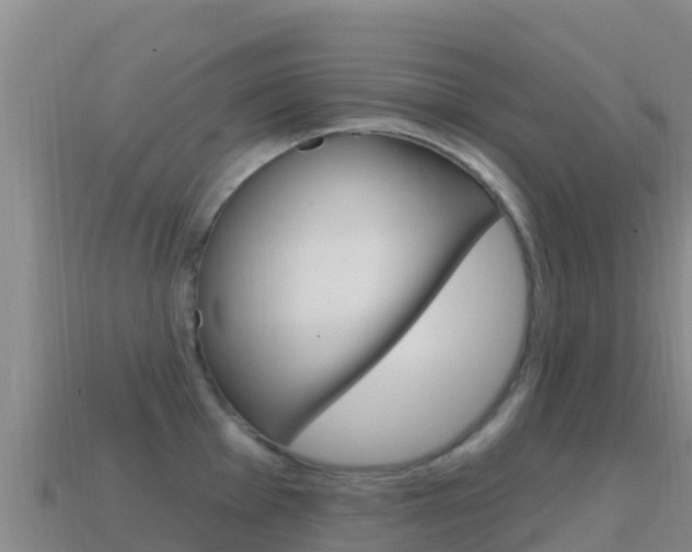 X0000114631001200910201018