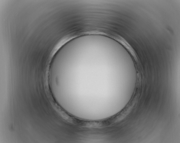 X0000114631002200910201018