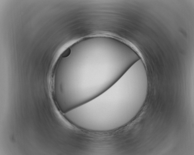 X0000114631003200910201018