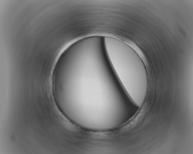 X0000114631004200910201018