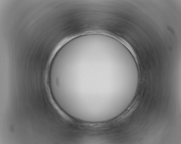 X0000114631005200910201018