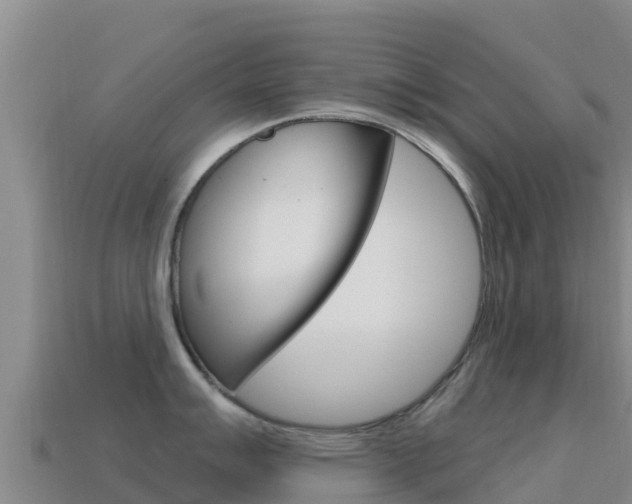 X0000114631007200910201018