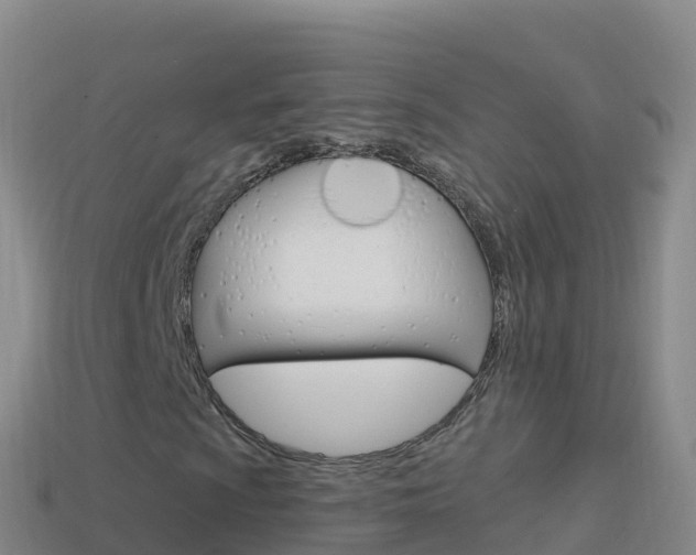X0000114631009200910201017