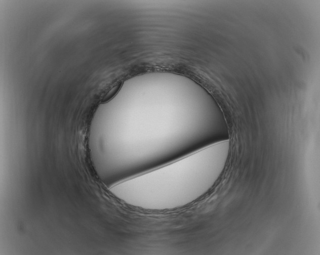 X0000114631010200910201017