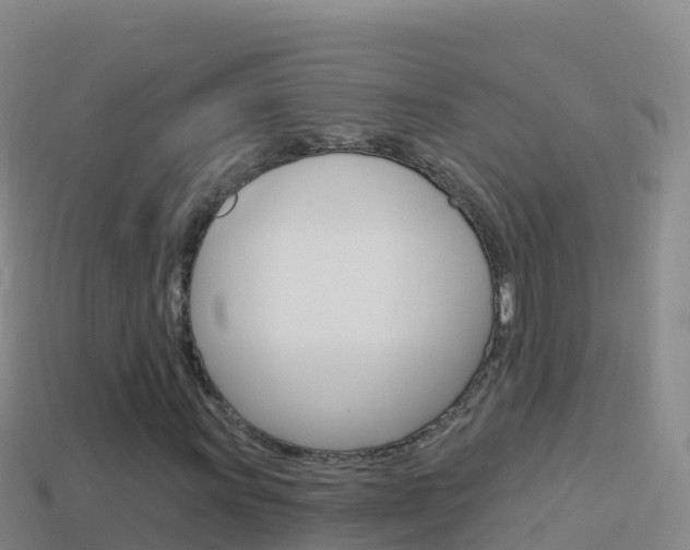 X0000114631011200910201017