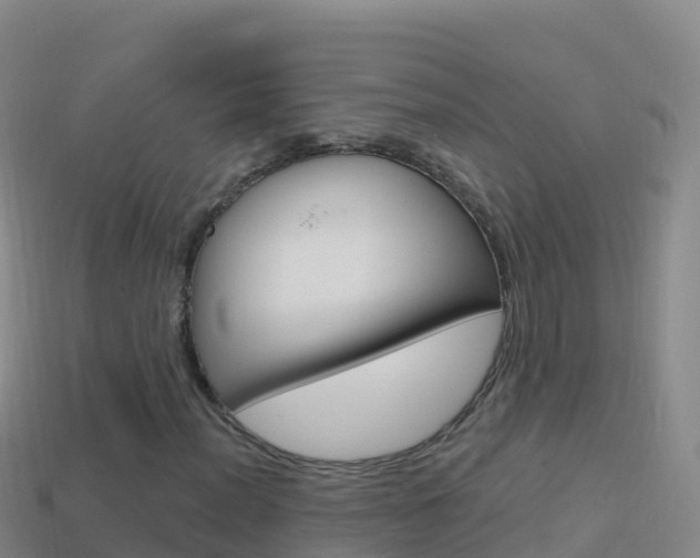 X0000114631012200910201017