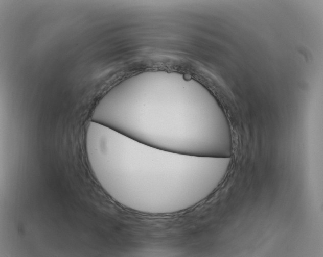 X0000114631013200910201017