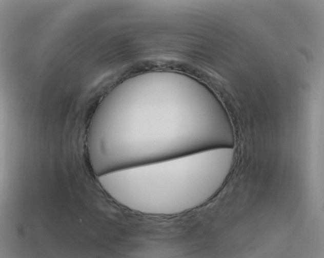 X0000114631014200910201017