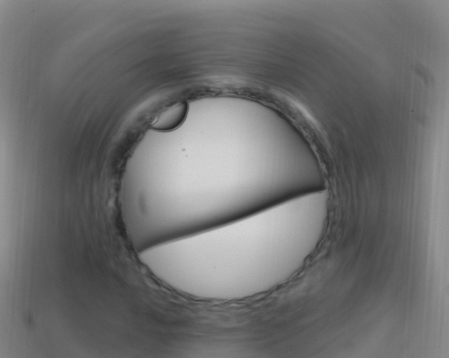 X0000114631016200910201017
