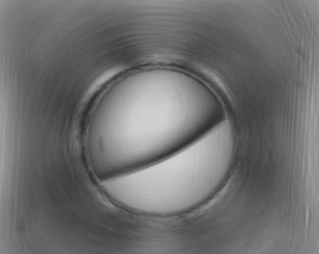 X0000114631018200910201017