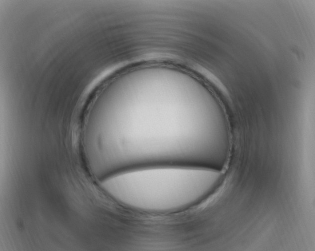 X0000114631021200910201017