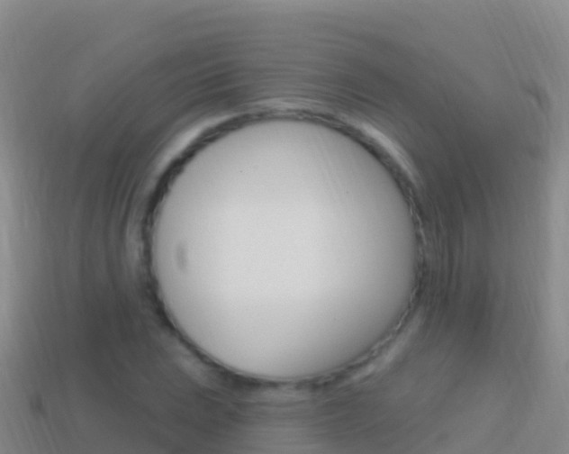 X0000114631023200910201017