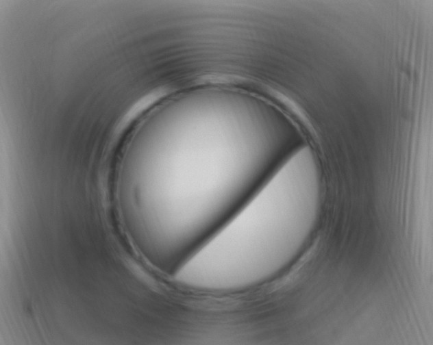 X0000114631026200910201017