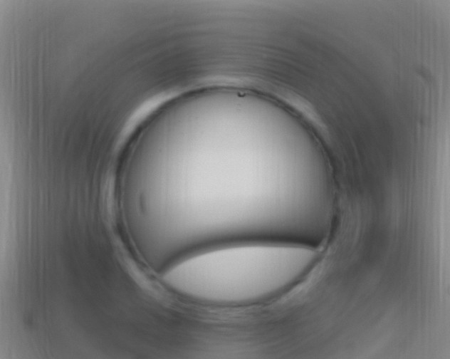 X0000114631030200910201018