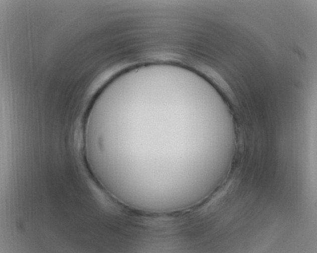 X0000114631031200910201018