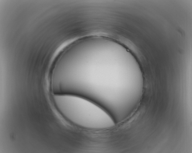 X0000114631032200910201018