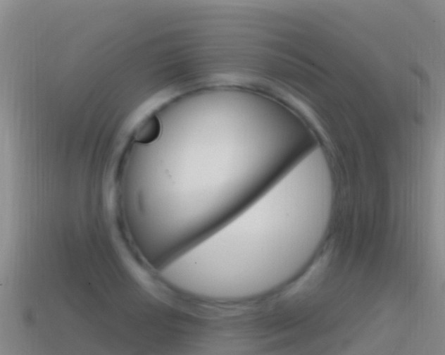 X0000114631034200910201018