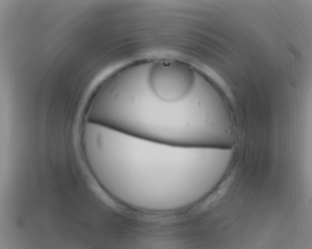 X0000114631037200910201018