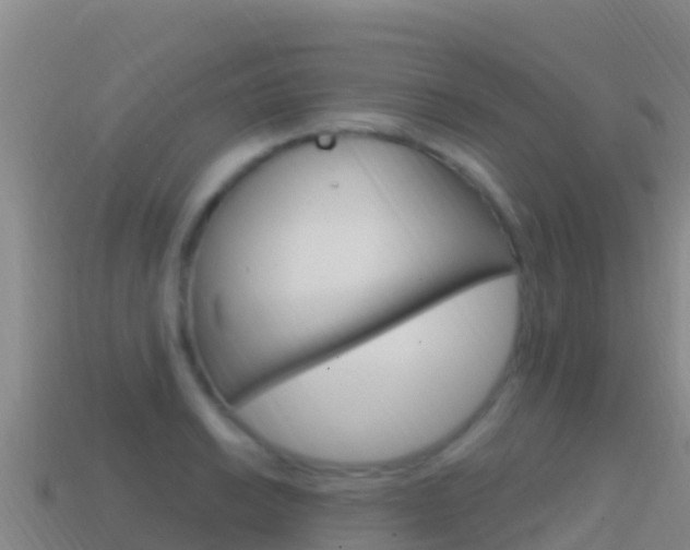 X0000114631038200910201018