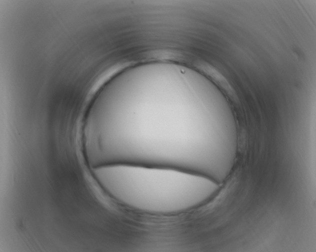 X0000114631039200910201018
