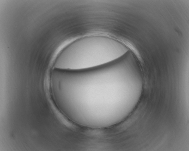 X0000114631040200910201018