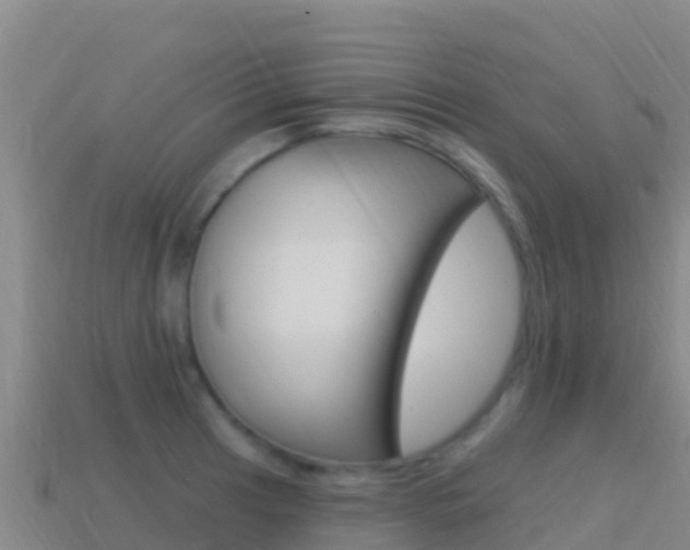 X0000114631041200910201018