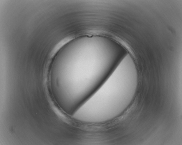 X0000114631042200910201018