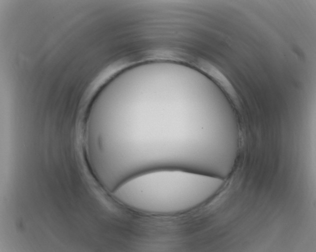 X0000114631043200910201018