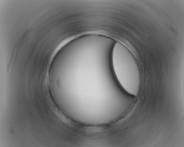 X0000114631044200910201018