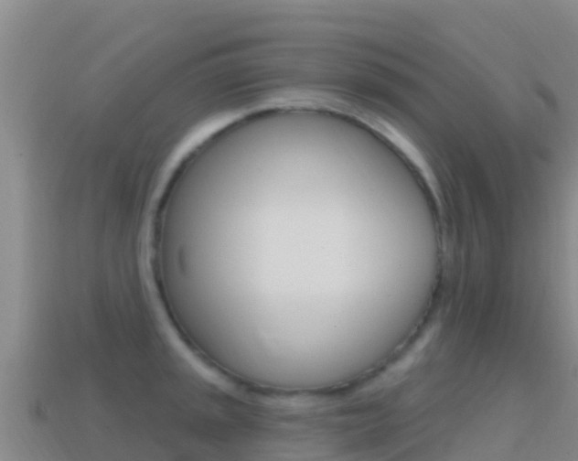 X0000114631045200910201018