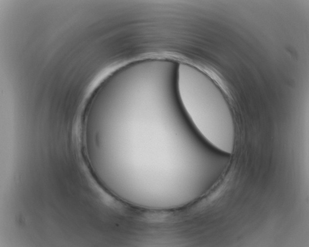 X0000114631046200910201018