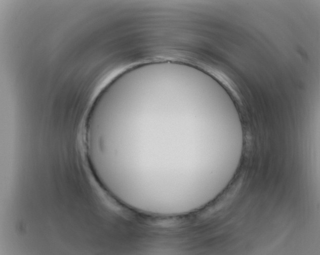 X0000114631047200910201018
