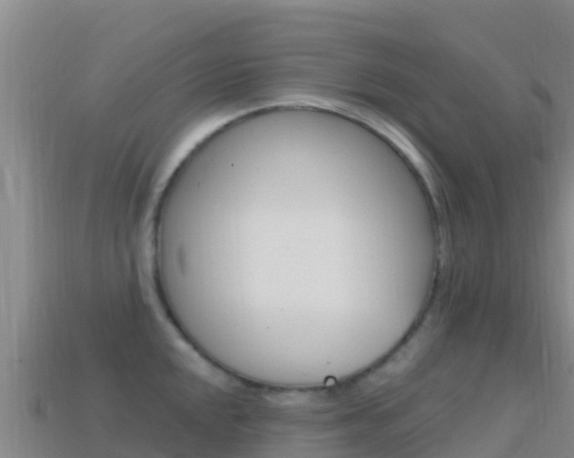 X0000114631048200910201018