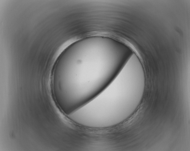 X0000114631050200910201018