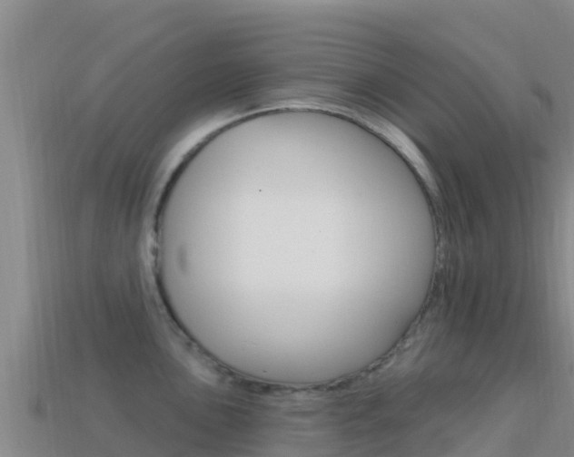 X0000114631051200910201018