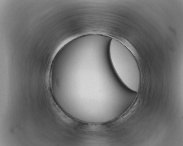 X0000114631052200910201018